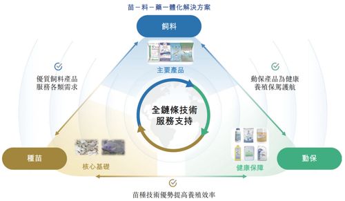 海大國際遞表港交所 分拆自海大集團(tuán)，2024年凈利潤強(qiáng)勢翻倍
